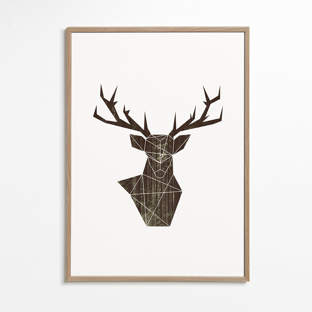 Forest deer