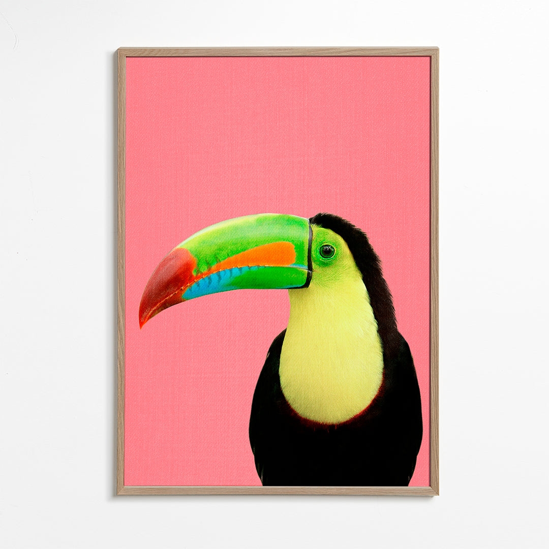 Toucan Bird in Pink