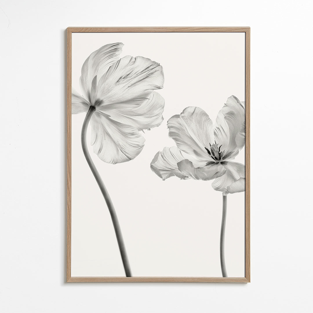 Same tulip front and backview - Lotte Grønkjær