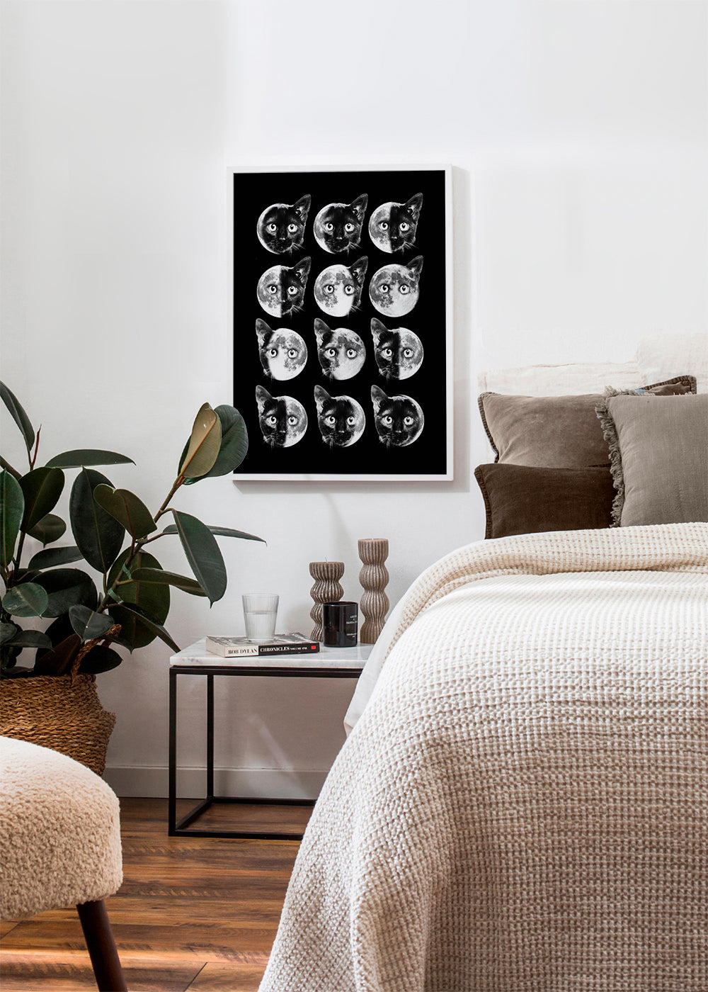 Cat moon phases