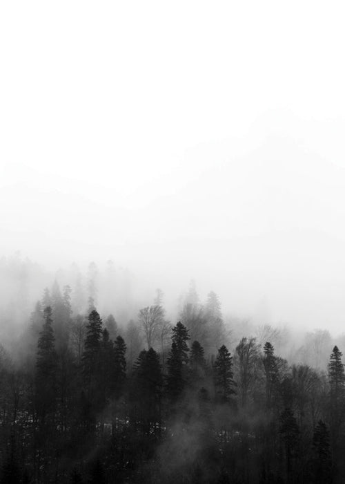 Landschaftskunst: Nebelwald
