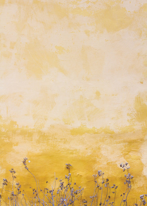 Dingy wall - Unframed art print
