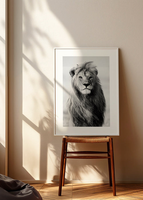 Majestic lion