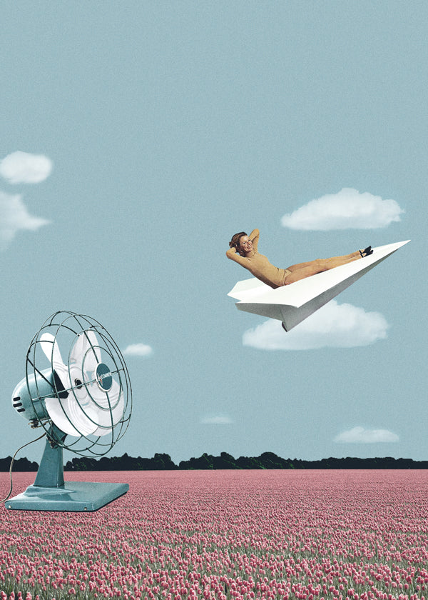 Where the wind takes me