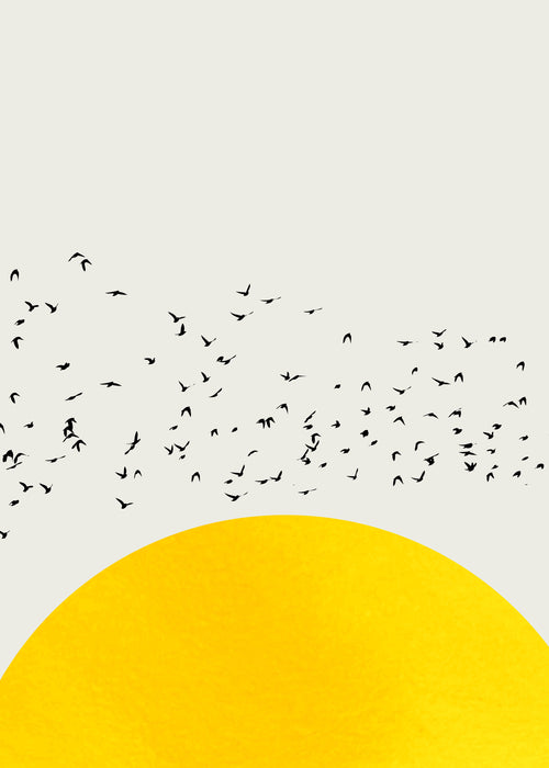 A thousand birds - Unframed art print