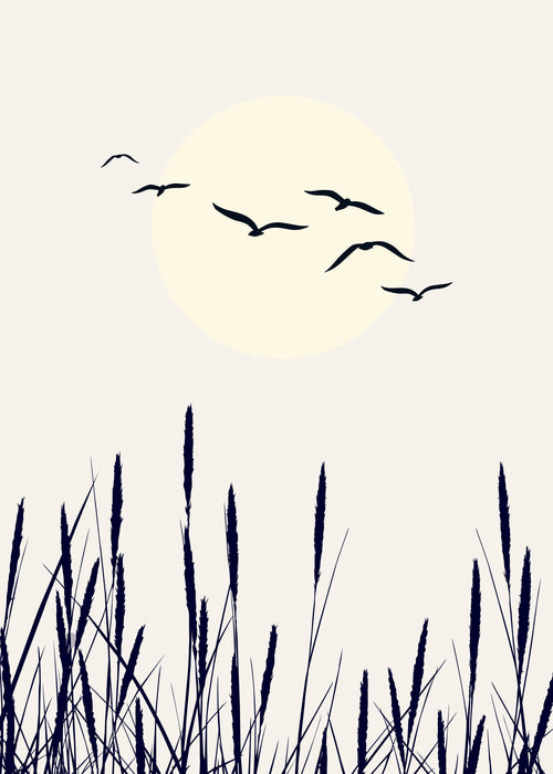Sunrise - Unframed art print