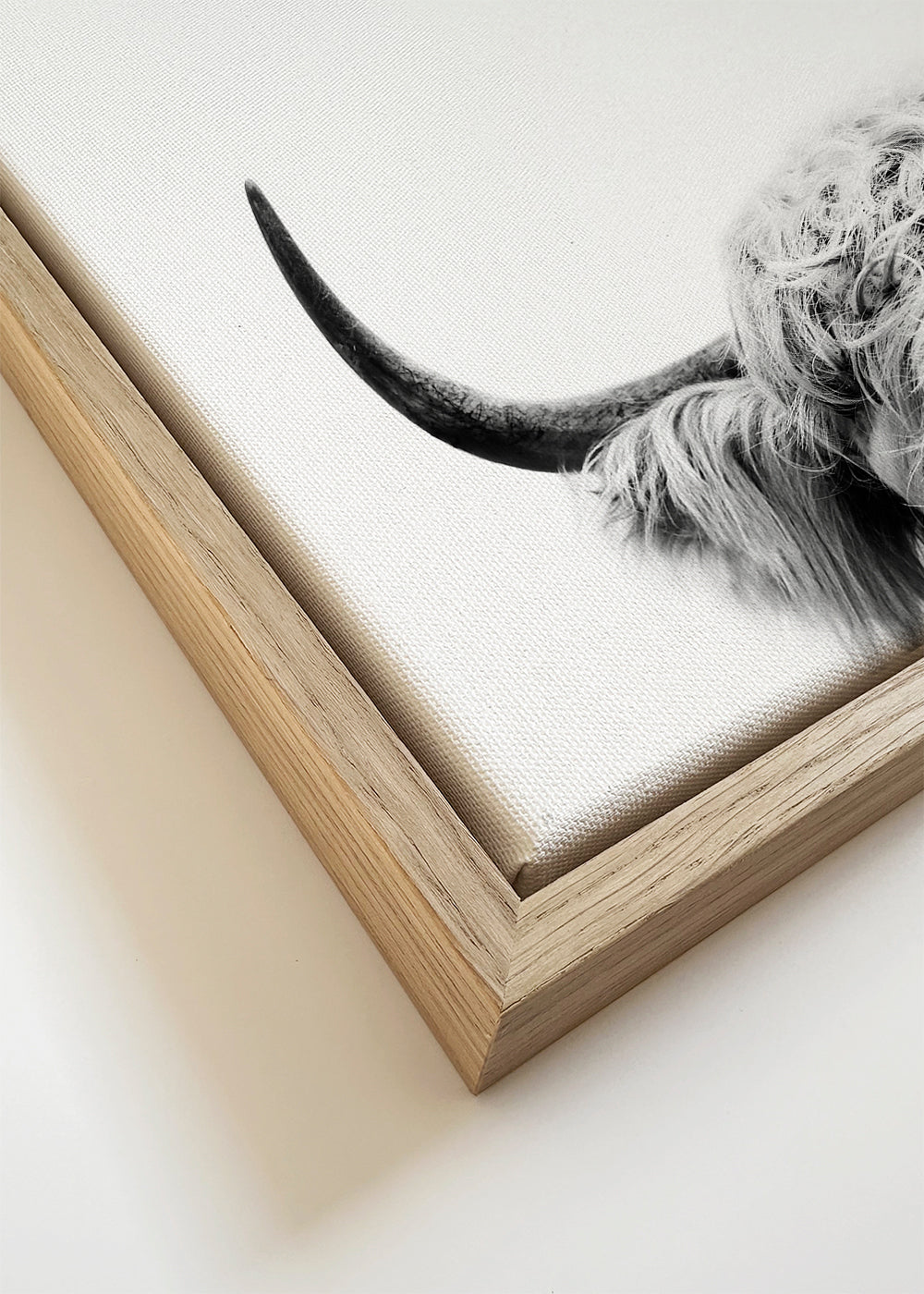 Peeking cow BW