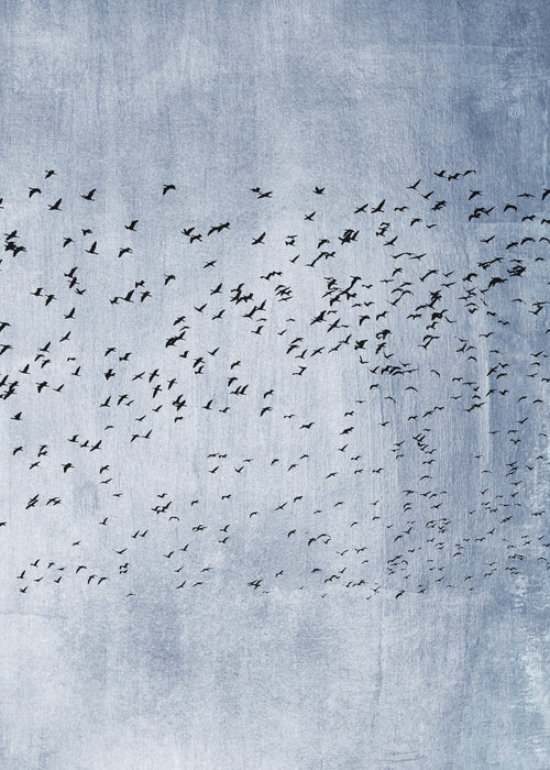 Moving on - Blue - Unframed art print