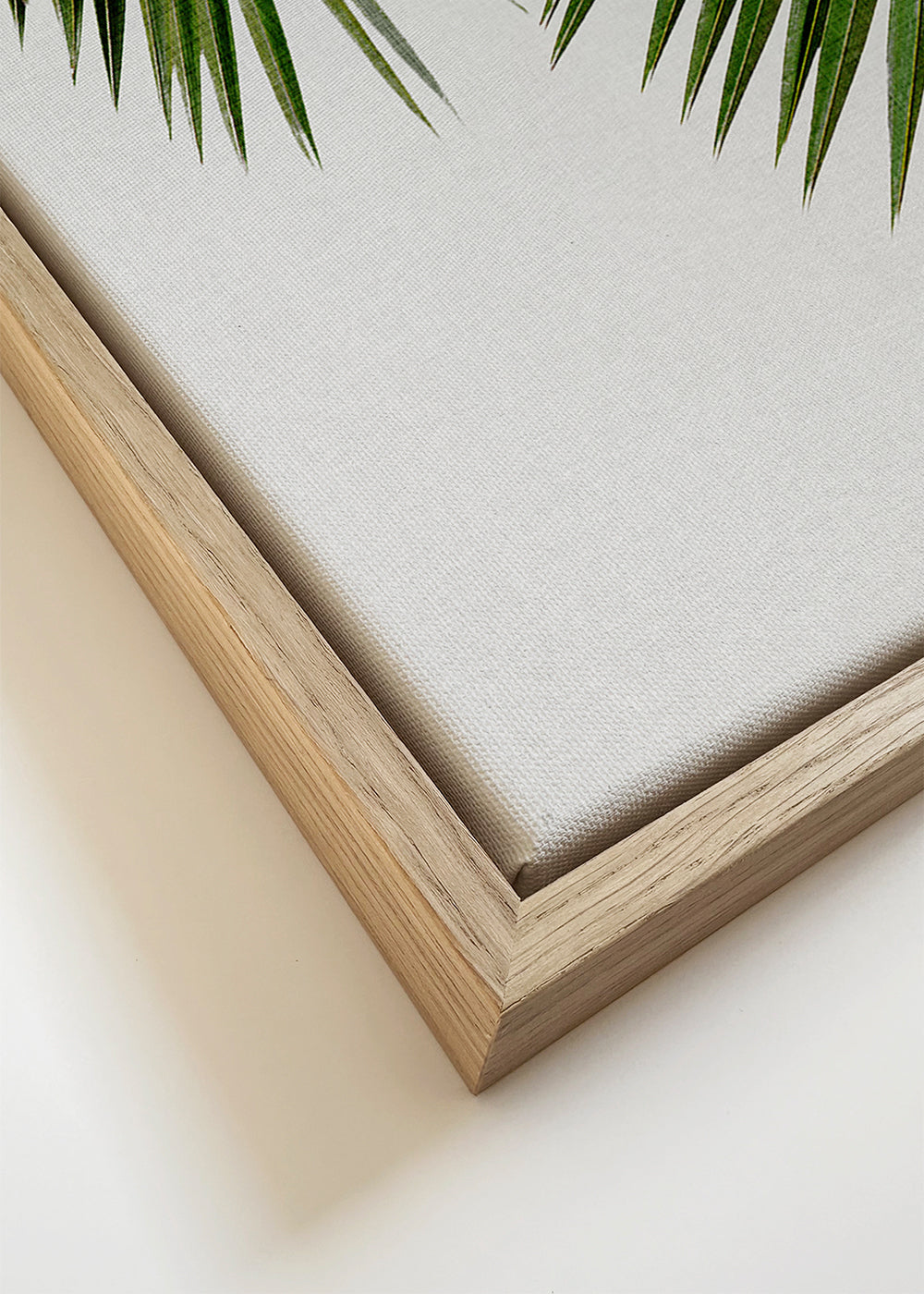Palm Leaf II
