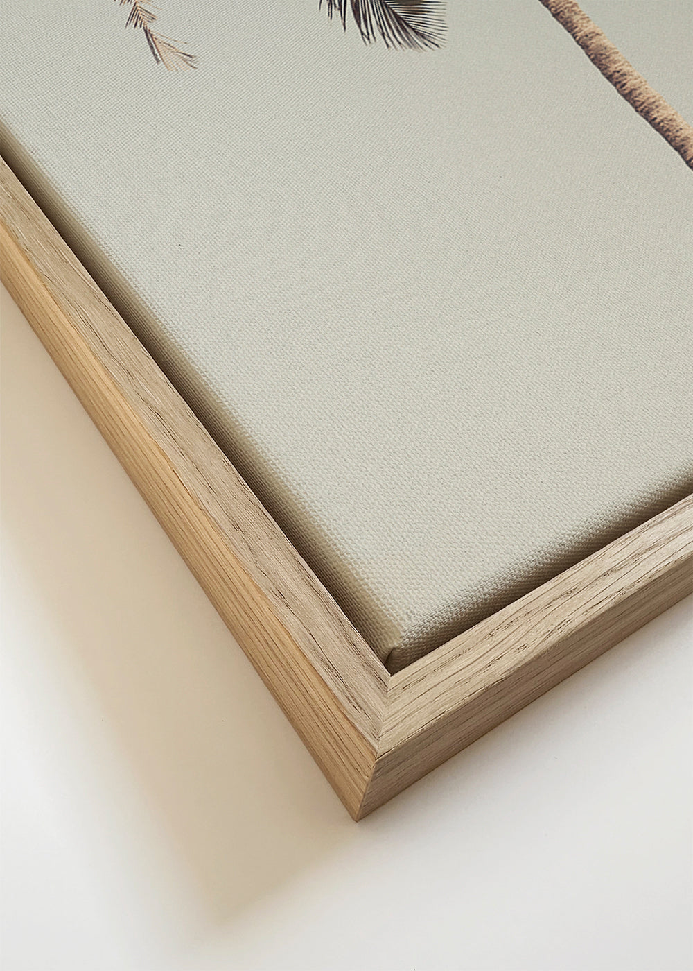 Palm tree by the beach