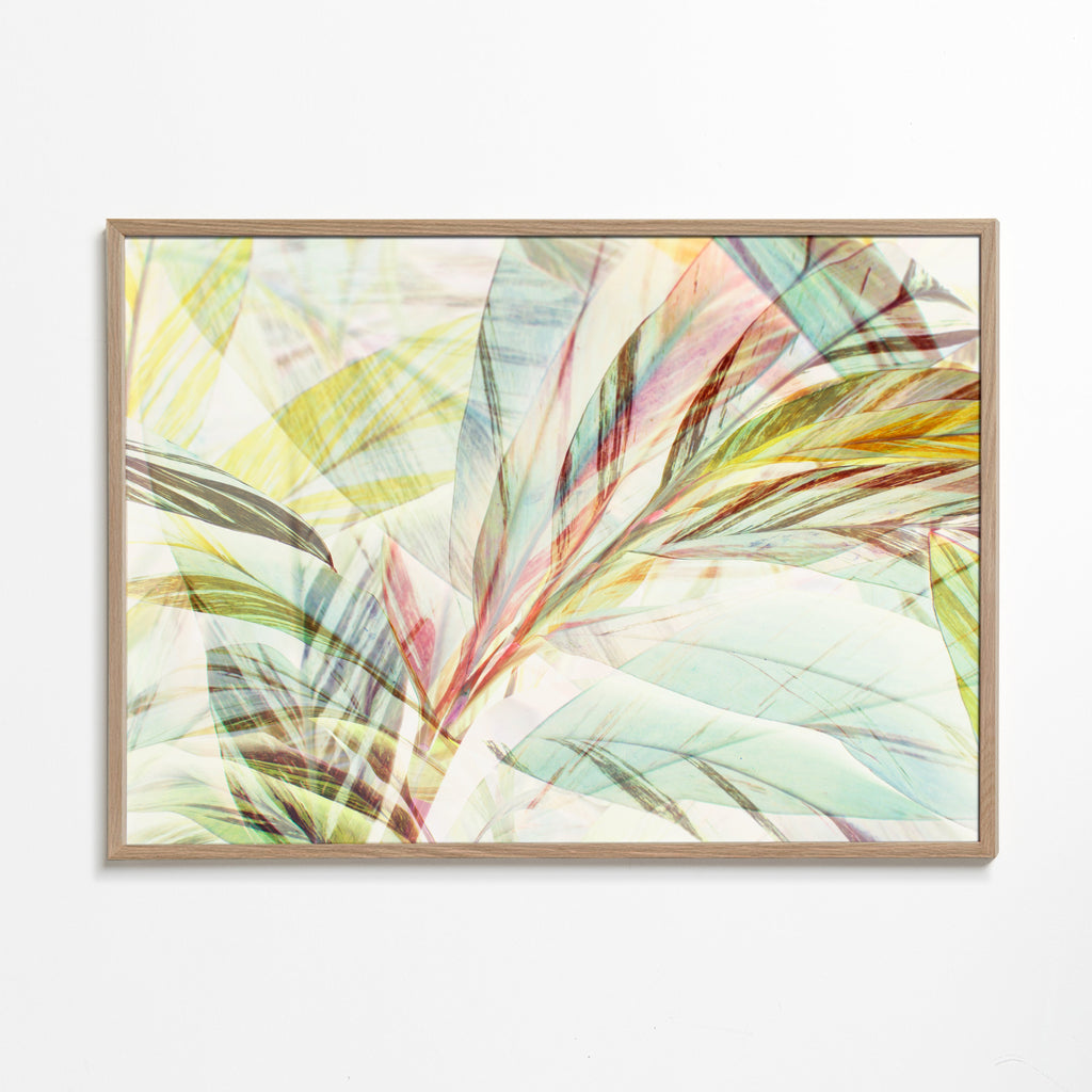 Red and yellow foliage