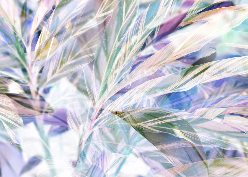 Violet foliage