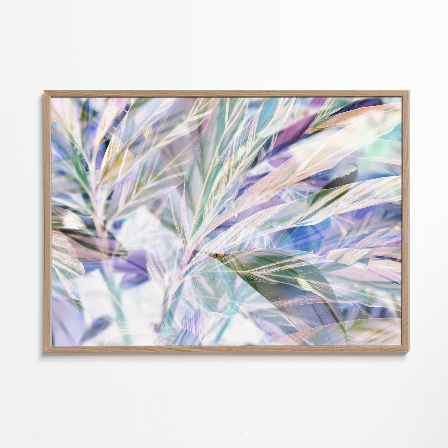 Violet foliage