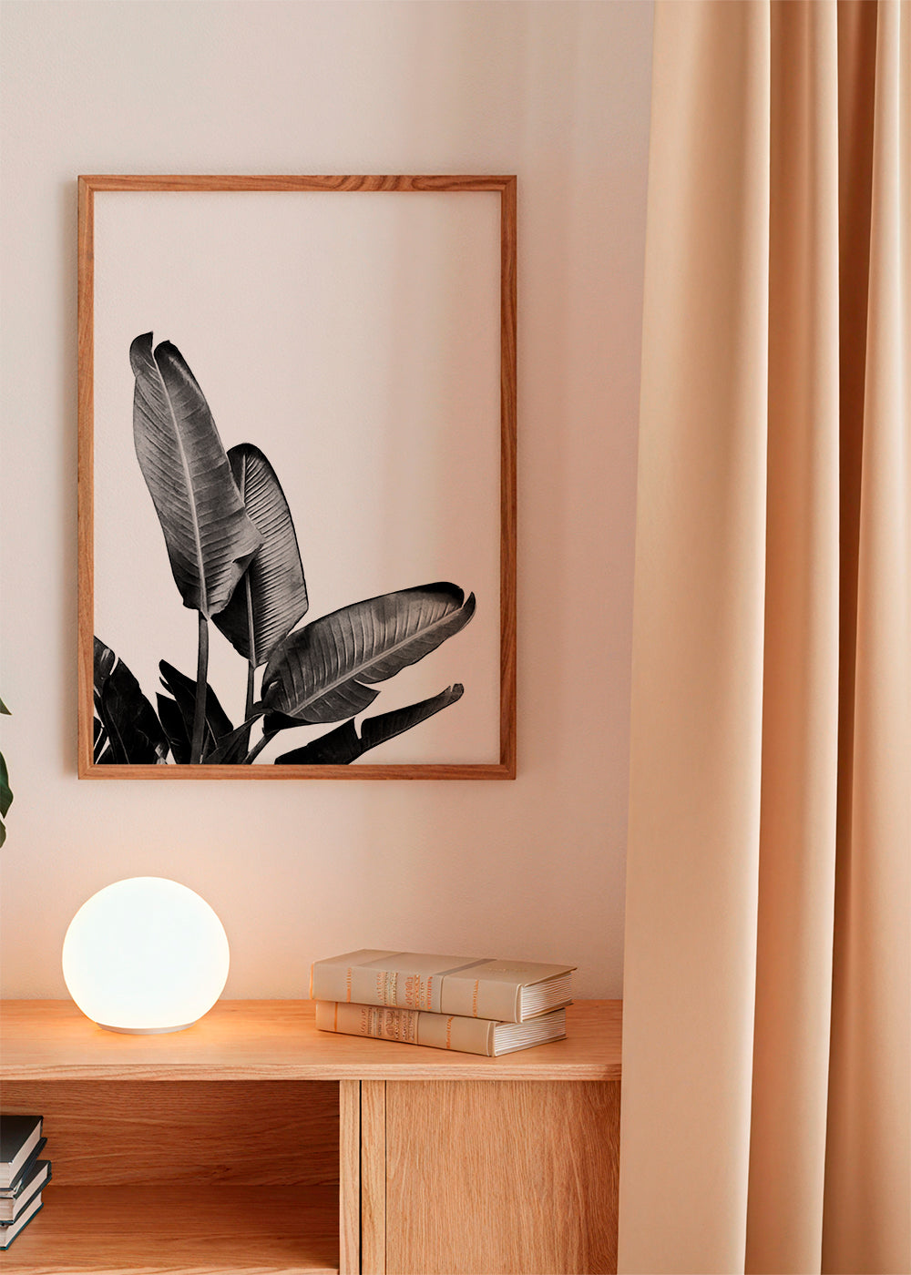 Bird of Paradise Plant Black and White 03