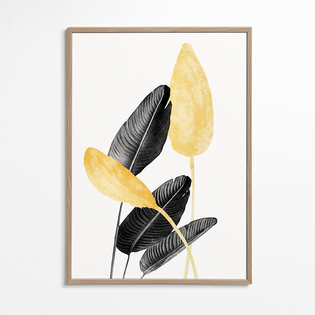 Bird of Paradise Plant Black, White and Gold 02