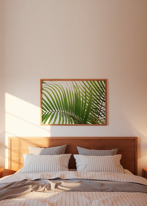Palm Leaves 02