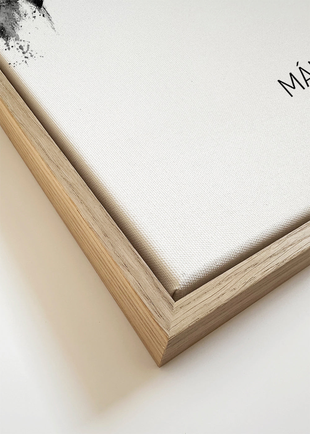 Málaga Skyline blanco y negro