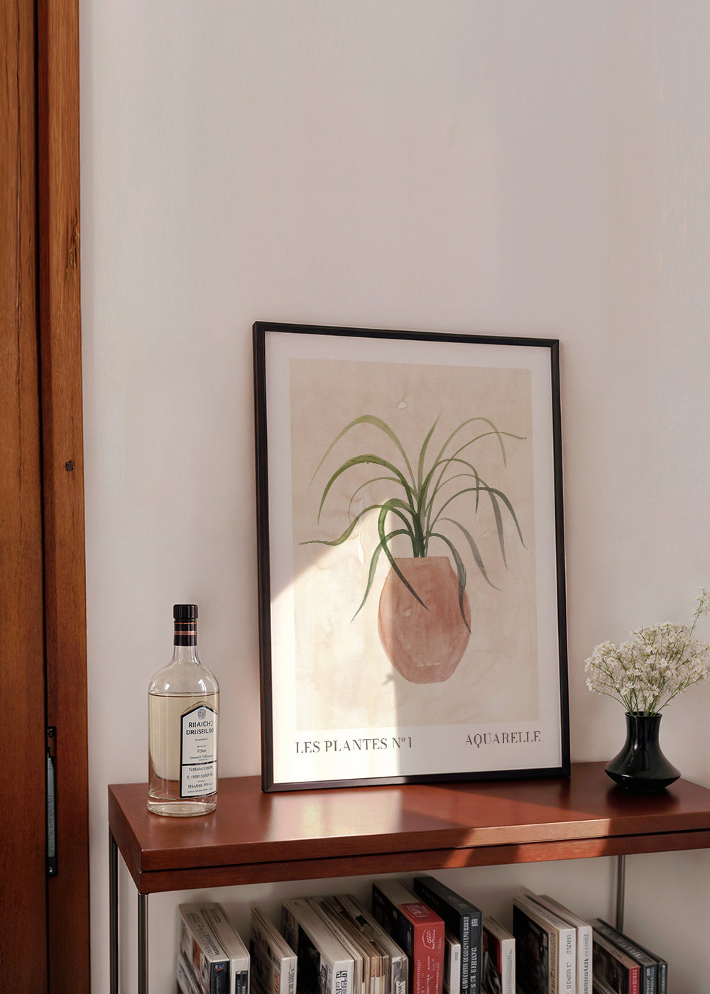 Les plantes Nº1