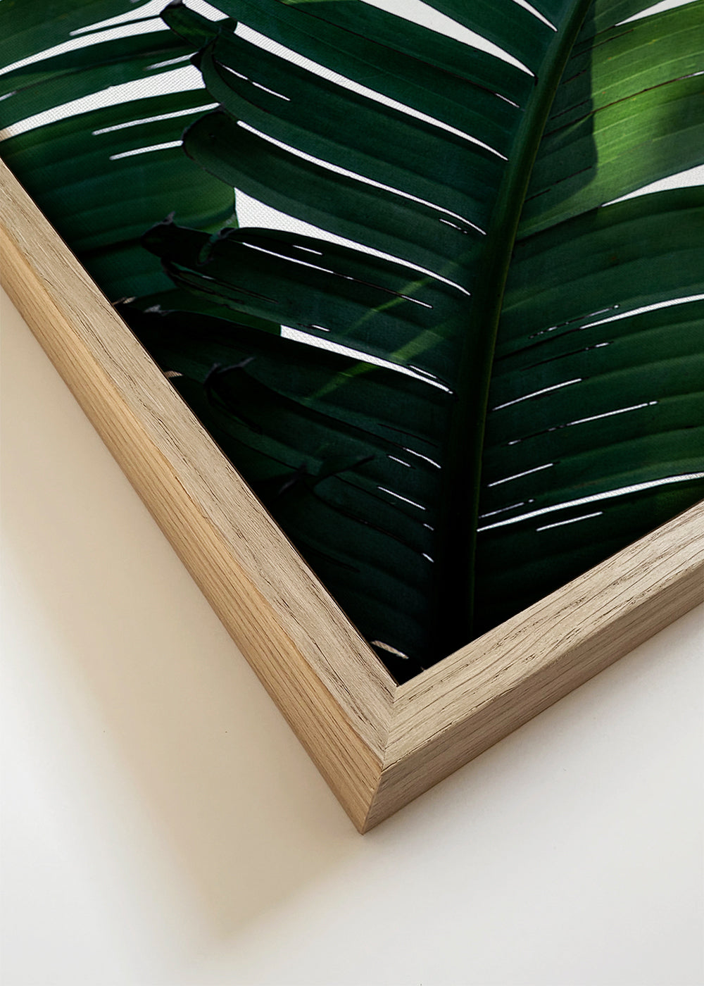 Banana Leaves 10