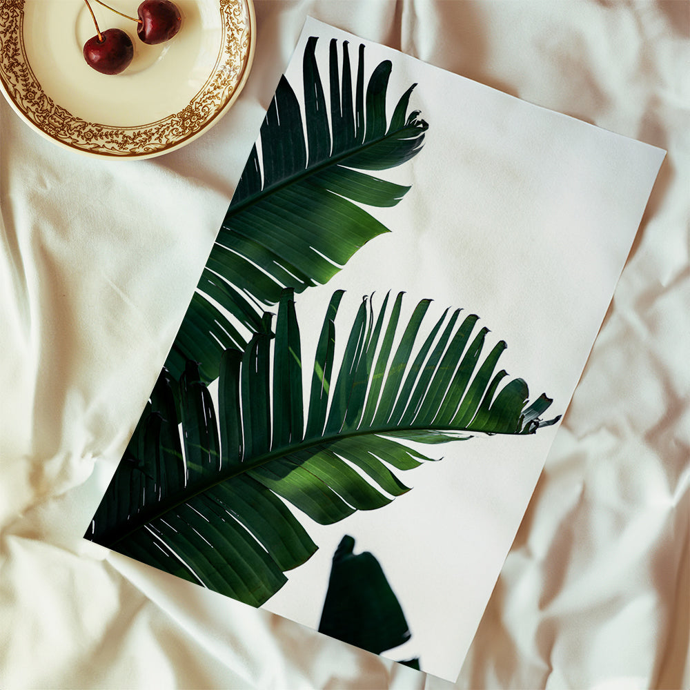 Banana Leaves 10