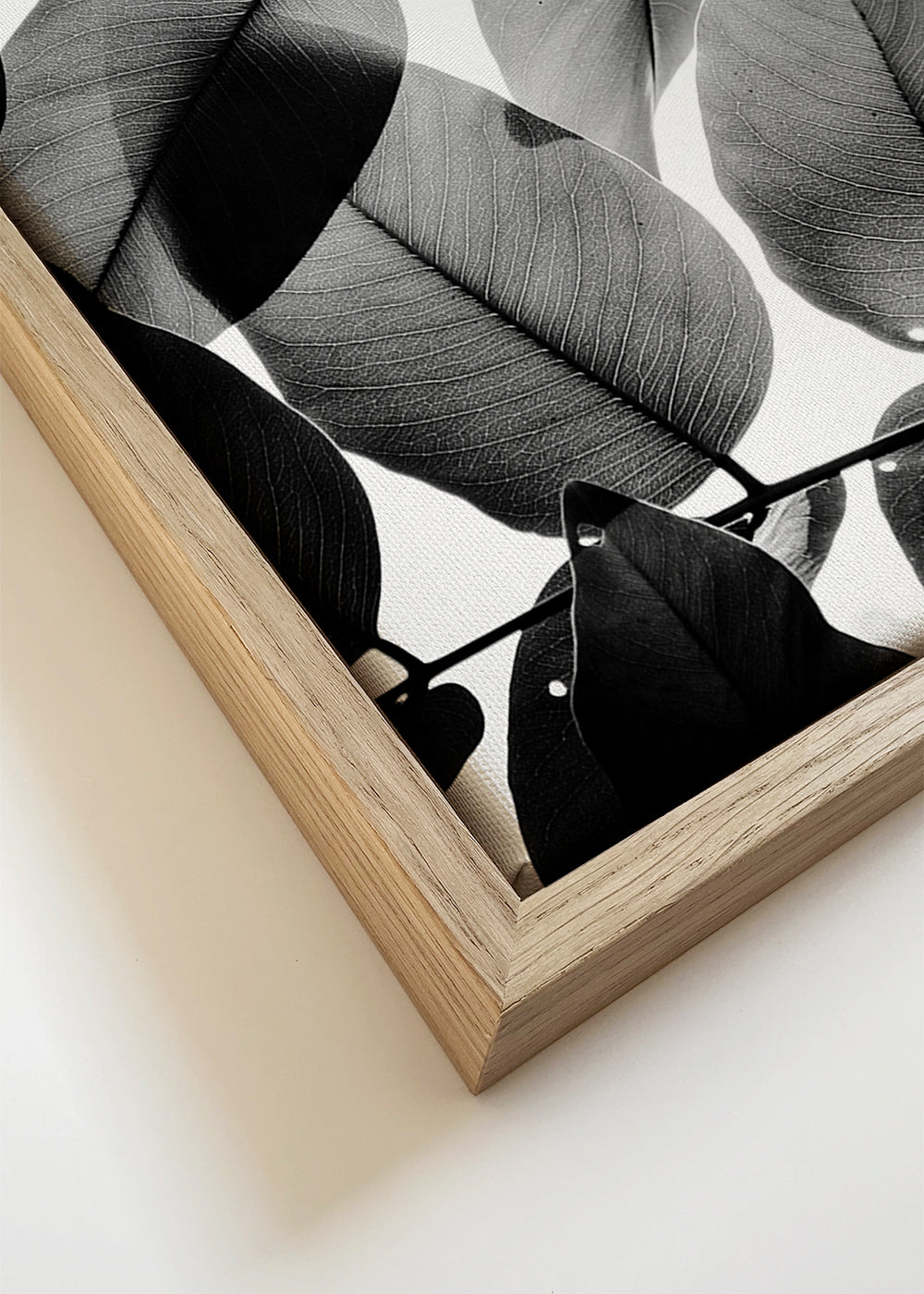 Branches and Leaves II