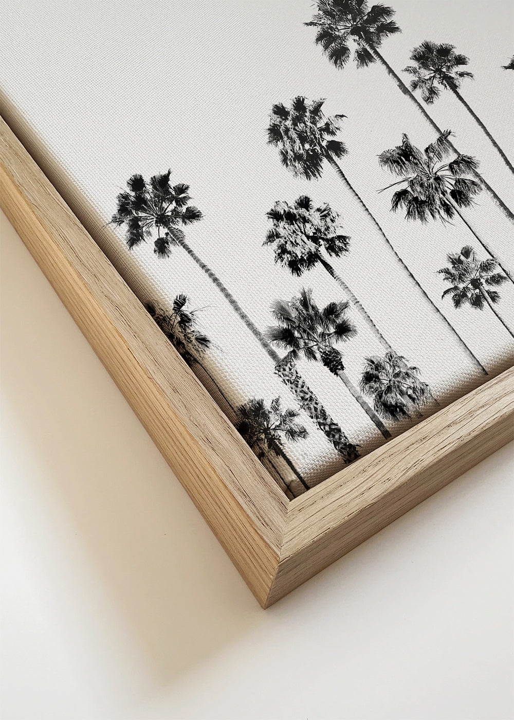 Black And White Palms 2