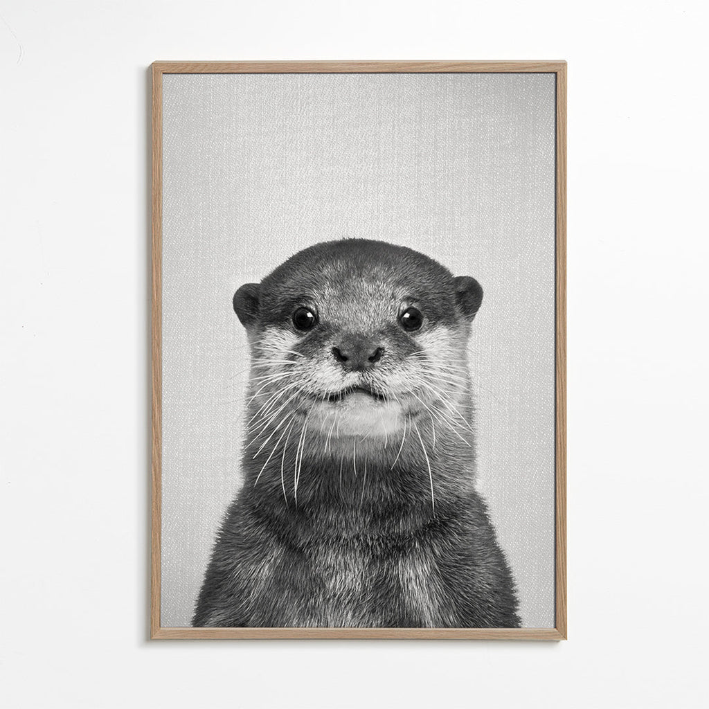 Otter - Black & White