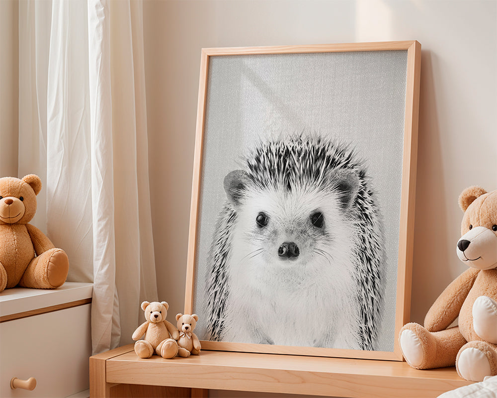Hedgehog - Black & White