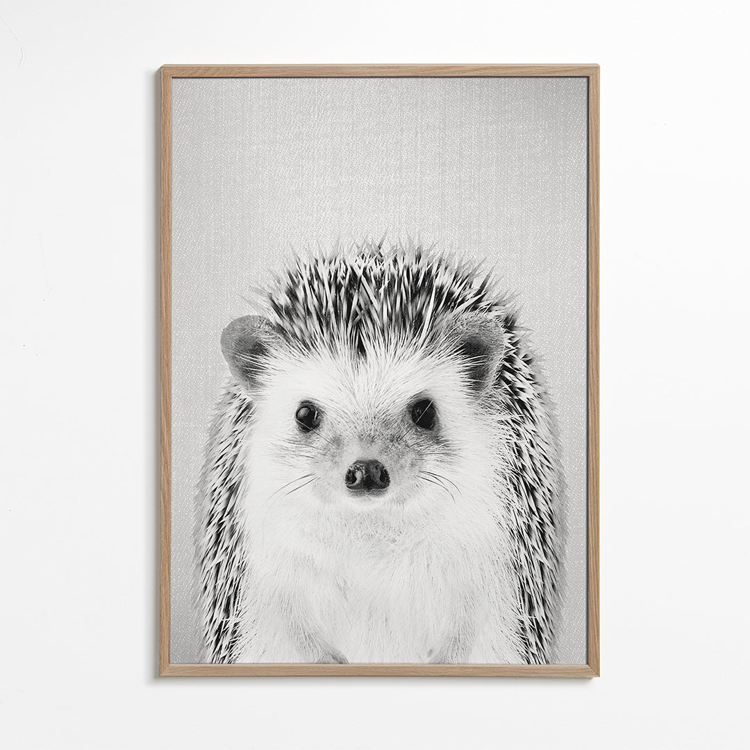 Hedgehog - Black & White