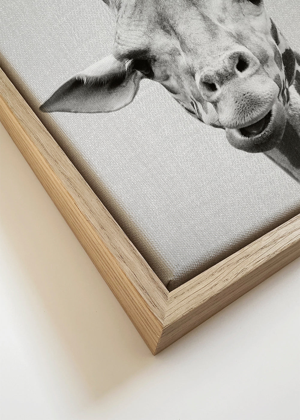 Giraffe - Black & White