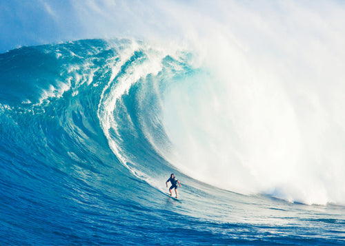 Wild Surf - Unframed art print