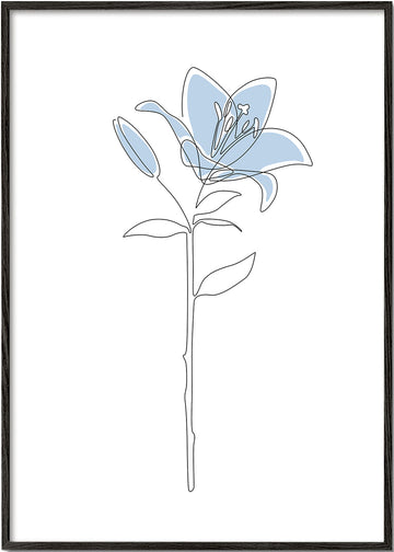 Blue Lily