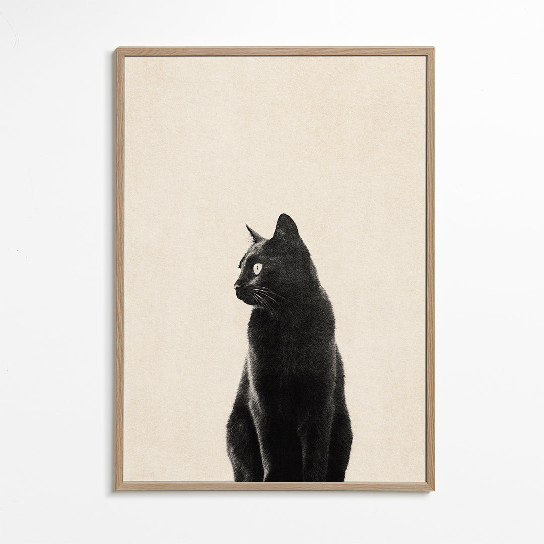 Black Cat