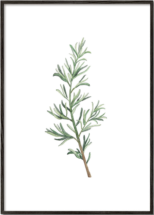 Rosemary Branch