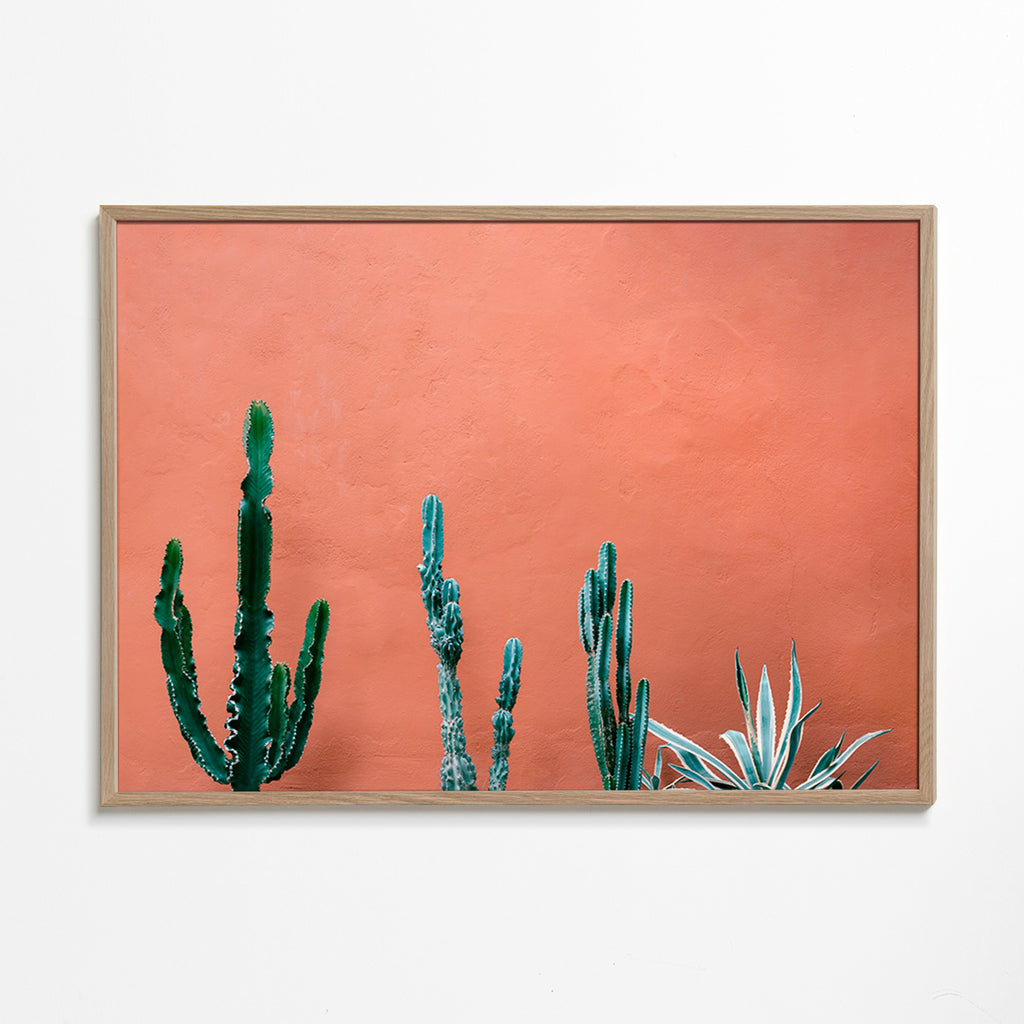 Botanischer Druck: Kakteen an Terrakottawand – Oak Frame