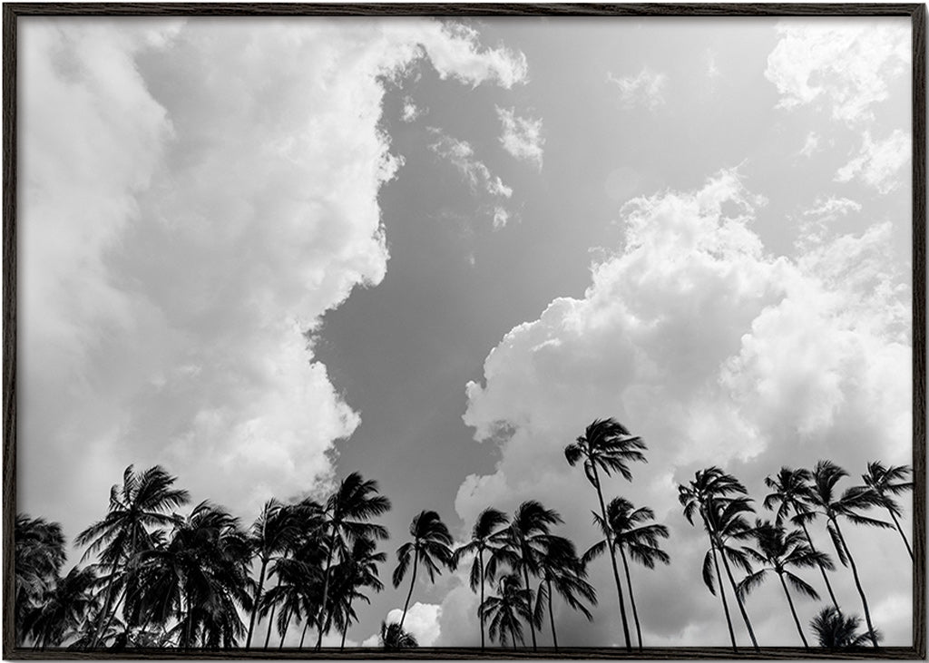 Landschaftskunst mit Palmen und dramatischem Himmel – Black Frame