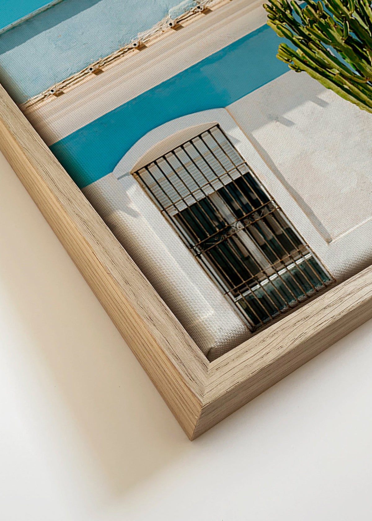 Botanischer Druck: mediterrane Fassade mit Kaktus – Canvas detail
