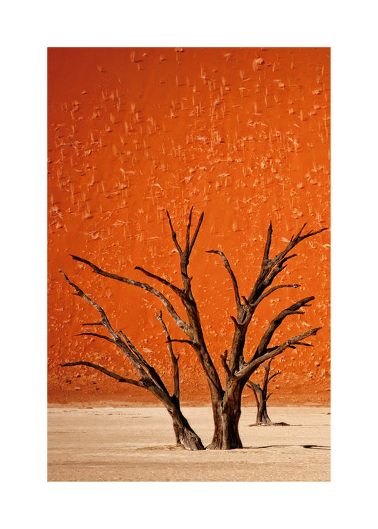 The older 2 - Mathilde Guillemot