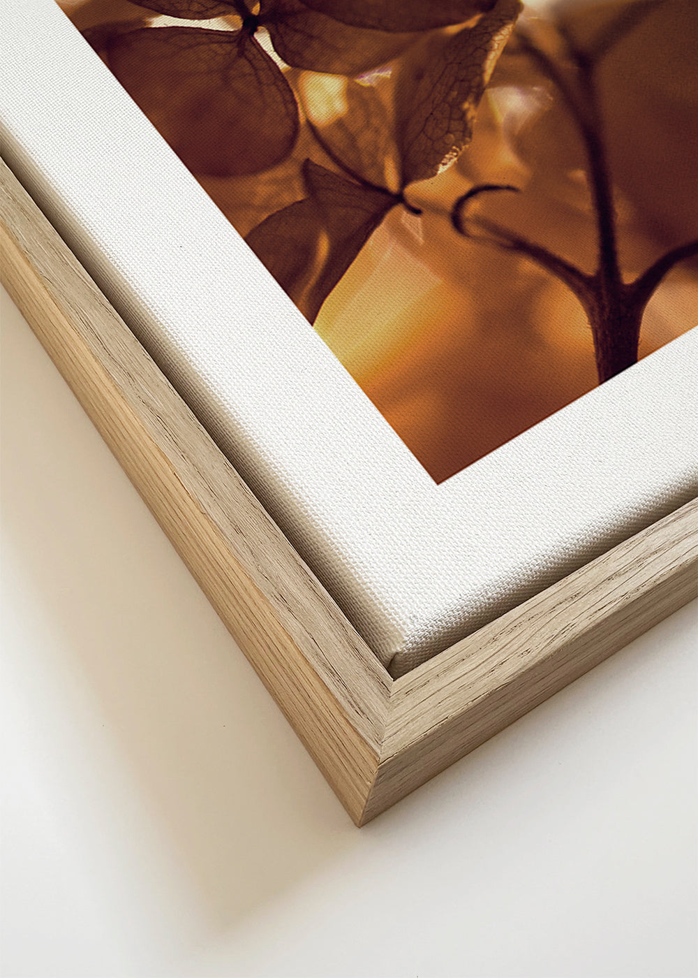 Beauty nature - Dimitar Lazarov -