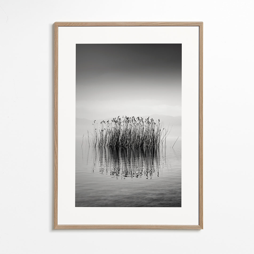 Black and White Silence - George Digalakis