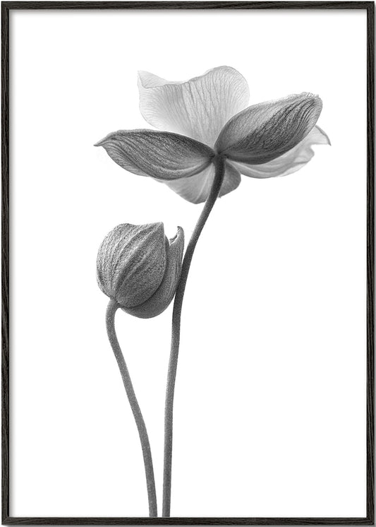 A little touch  monochrome - Lotte Grønkjær