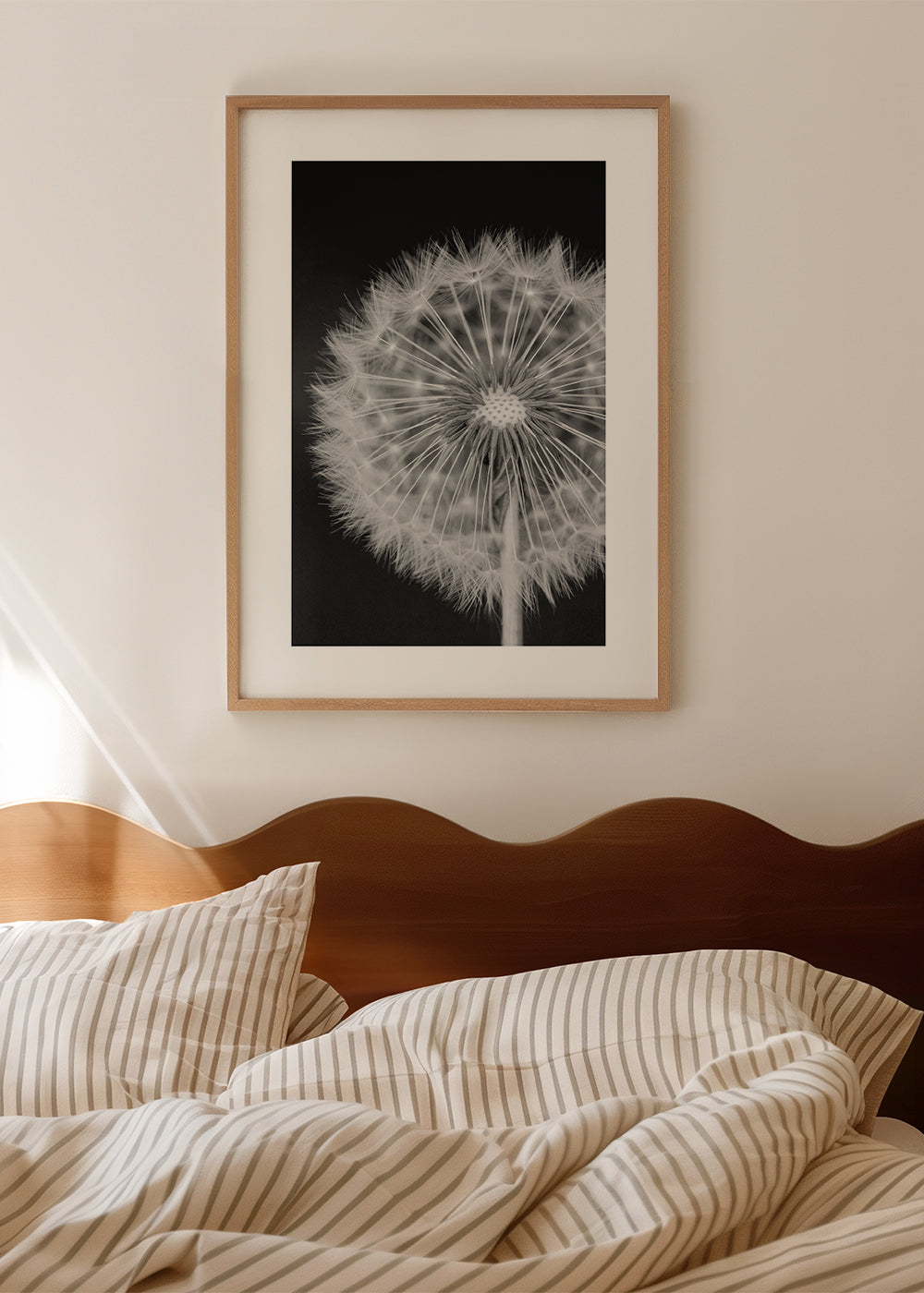 Dandelion - Bess Hamiti