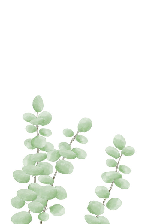 Branches - 1x Studio II