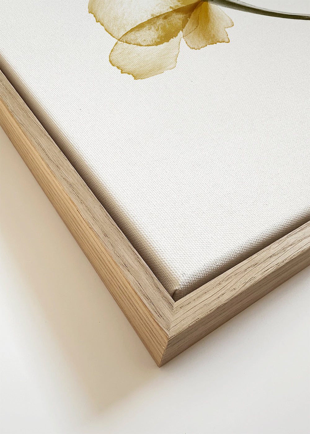 Pressed Flowers - 1x Studio II