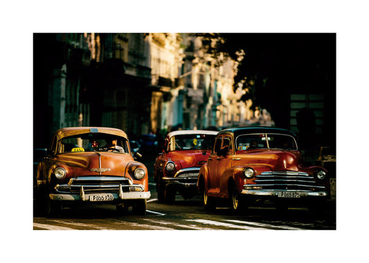 Come with me in the morning light - Gina Buliga