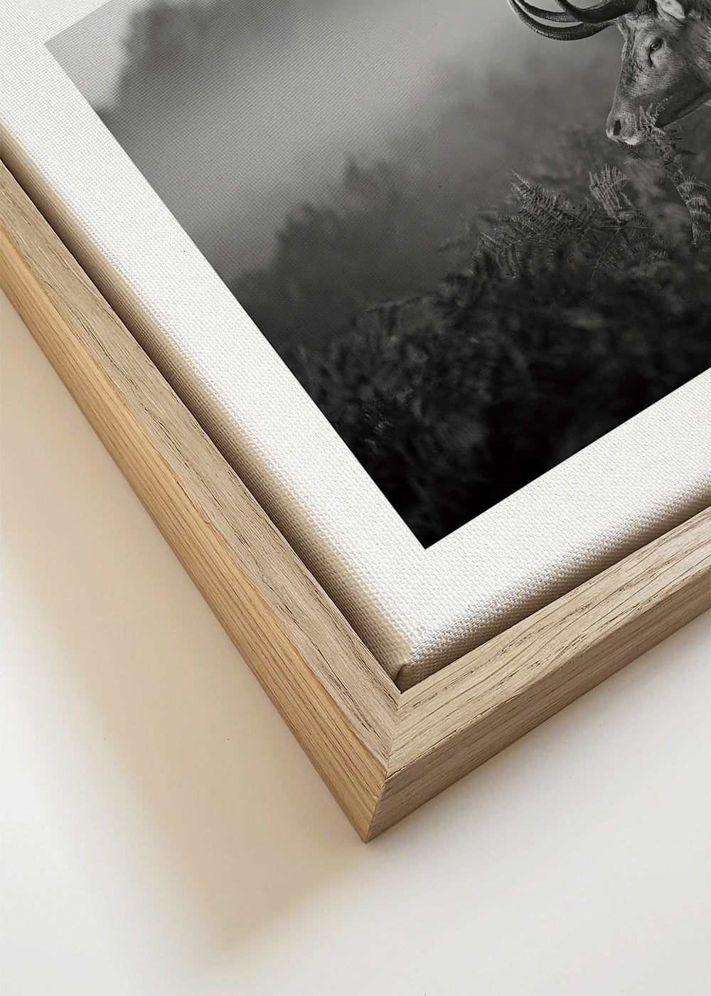 Sunny Morning - Robert Fabrowski