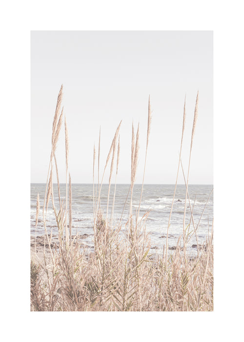 Beach Vass I - Unframed art print