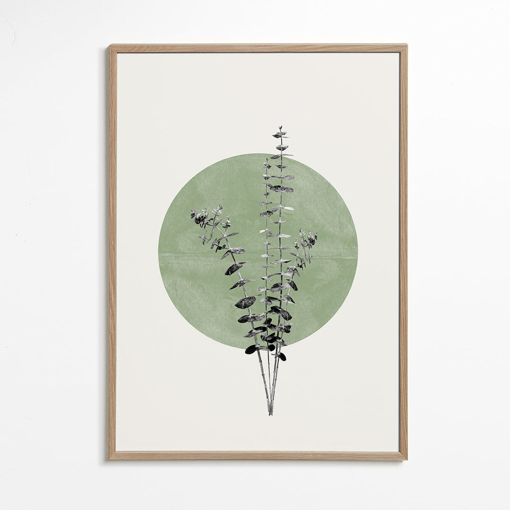 Eucalyptus and Green Moon - THE MIUUS STUDIO