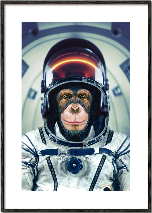 AstroMonkey - Marcel Egger
