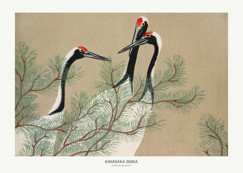 Cranes From Momoyogusa - Unframed art print